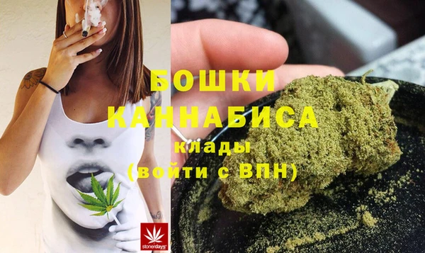 альфа пвп Медвежьегорск