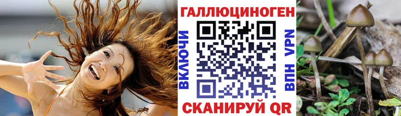 наркотики  Отрадный  Галлюциногенные грибы Magic Shrooms 